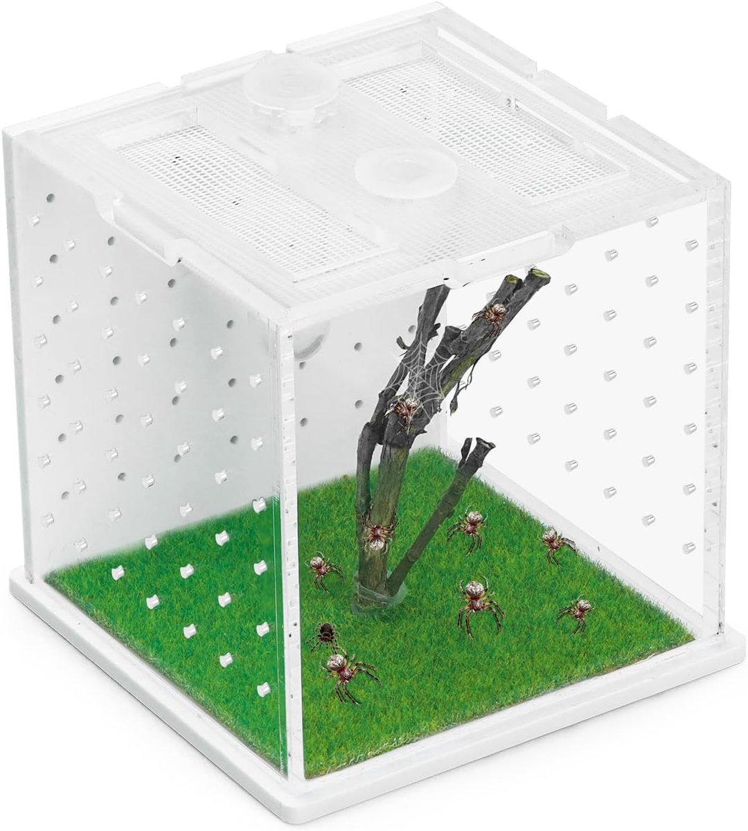 Springspin-behuizing, 2,95 × 2,95 × 2,87 inch (7,49 × 7,49 × 7,29 cm) transparant reptielenterrarium, veelzijdige tarantula-behuizing voor kleine reptielen/insecten, kleine reptielentank met
