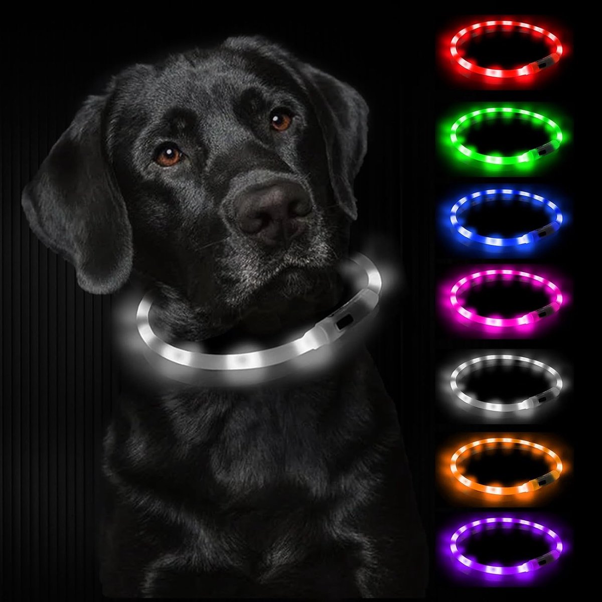 SnelShoppen - Lichtgevende Hondenhalsband USB Oplaadbaar - Waterdichte LED Halsband voor Honden met Verstelbare Lengte - 3 Verlichtingsmodi voor Veili
