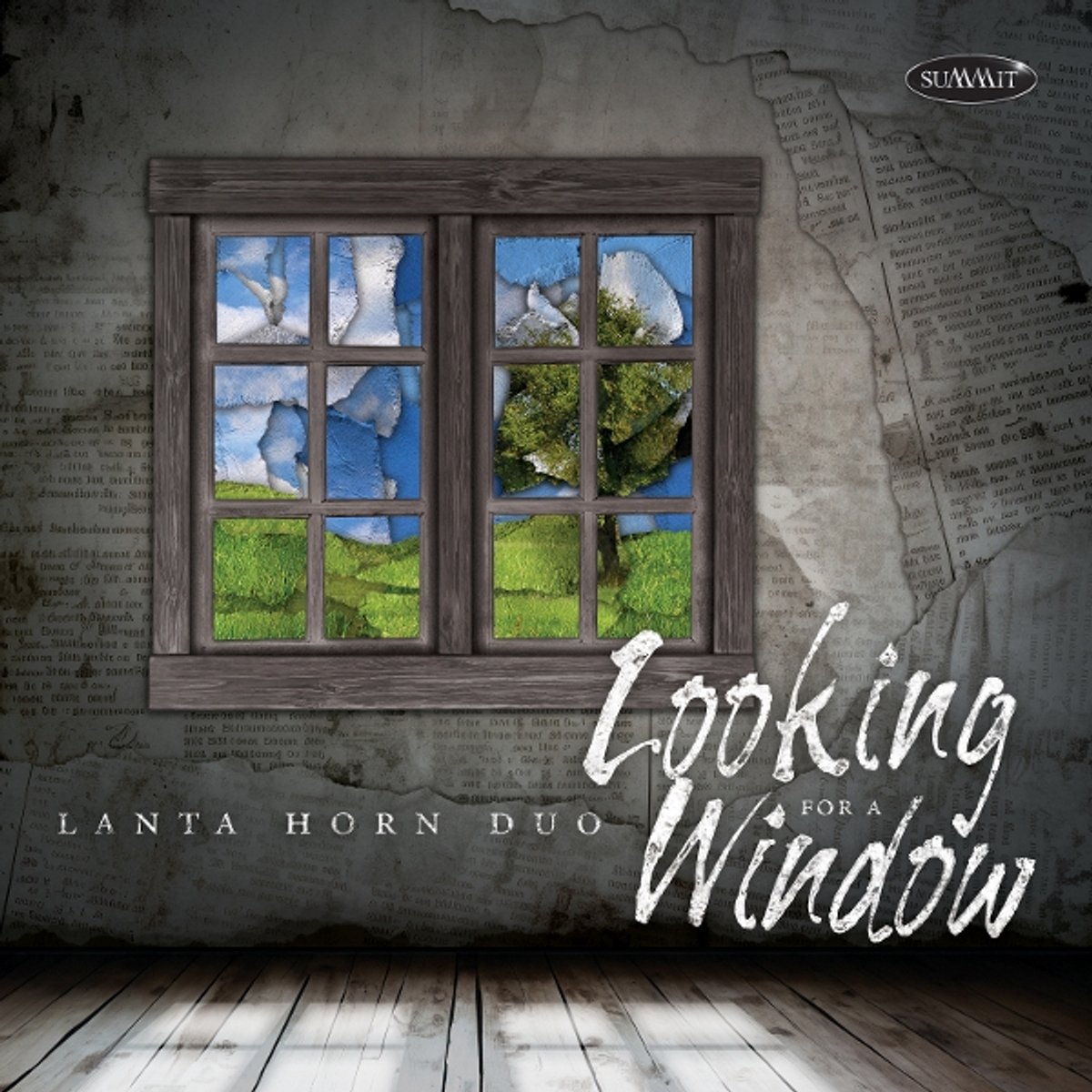 Looking for a window