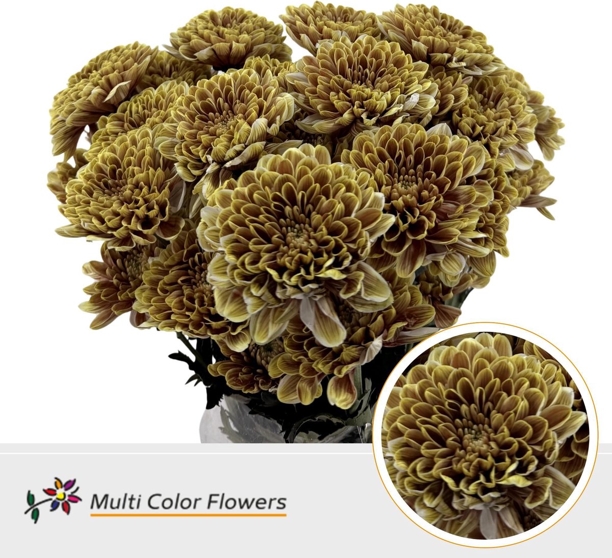 10x Chrysant overig 60cm