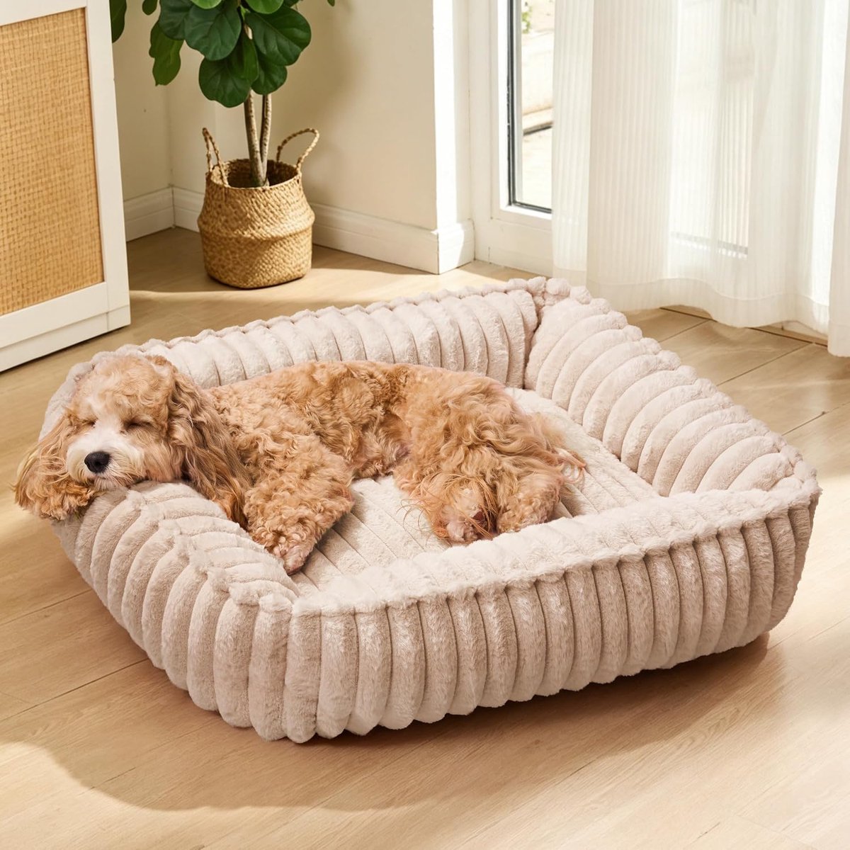 hondenbed voor middelgrote honden 80x60cm, Rechthoekige orthopedische zachte huisdierbank, Anti-angst gezellige wasbare huisdierbank met antislipbodem, Kaki