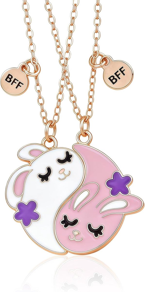 Vriendinnen Ketting Voor 2 Konijnen Hanger Bff Sieraad Vriendschap Verjaardagscadeau Schattige Dingen Voor Meisjes Dier Vriendschapsketting