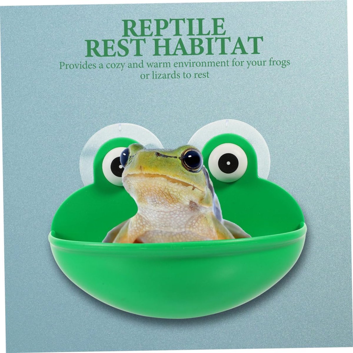 2 stuks reptielen rustplatform met zuignap decoratief terrarium accessoires voor kikker en pad