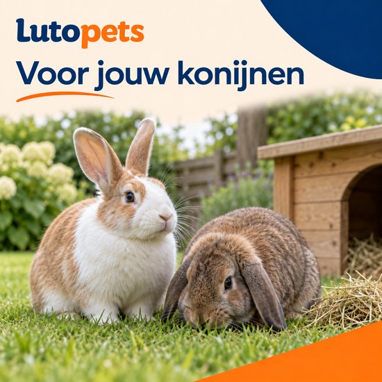 Twee konijnen, een witte en bruine en een bruine, zitten in de tuin bij een konijnenhuisje.