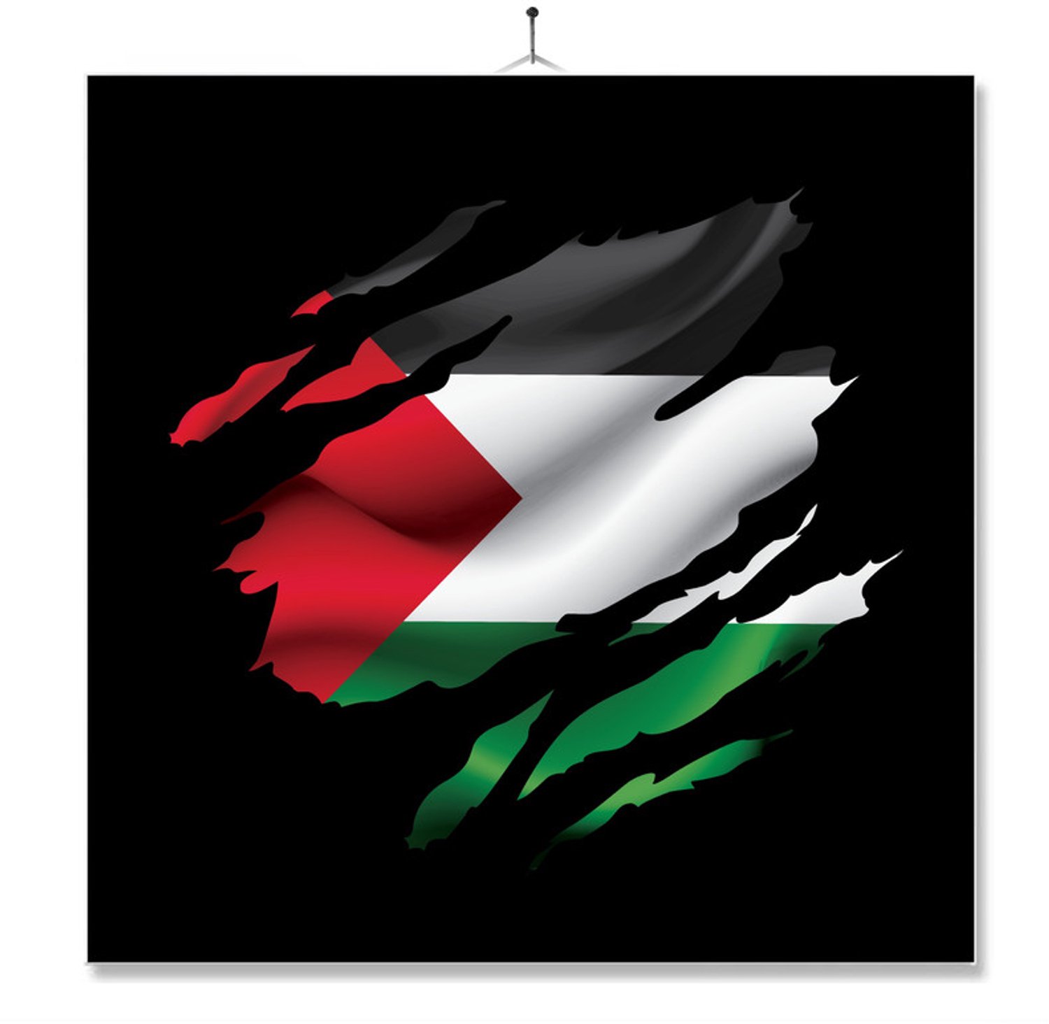 MC Living Tegel Met Opdruk | Vlag Palestina Multi-Color