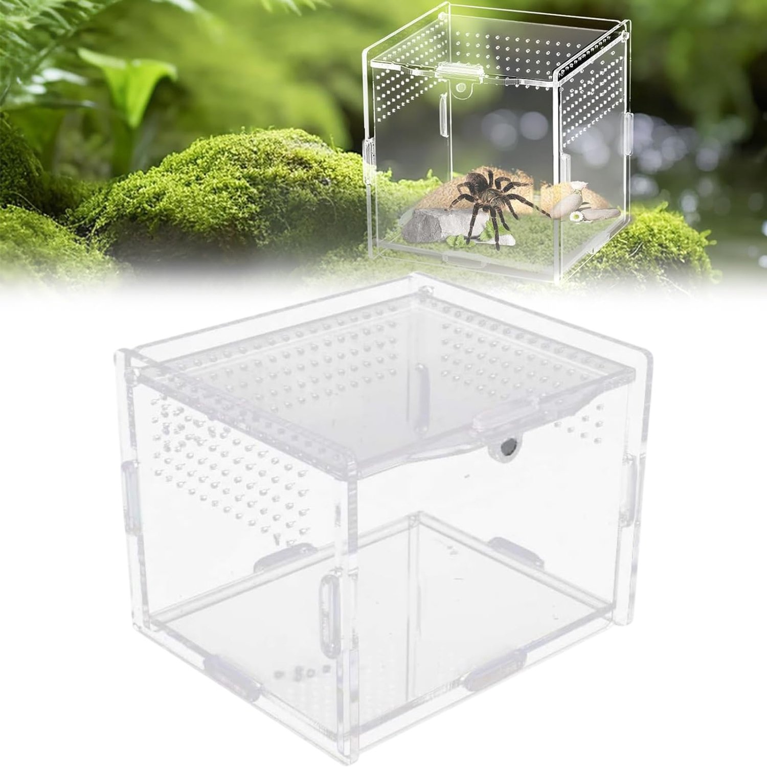 Acryl Terrarium voor Reptielen en Kleine Dieren 10x8x7cm