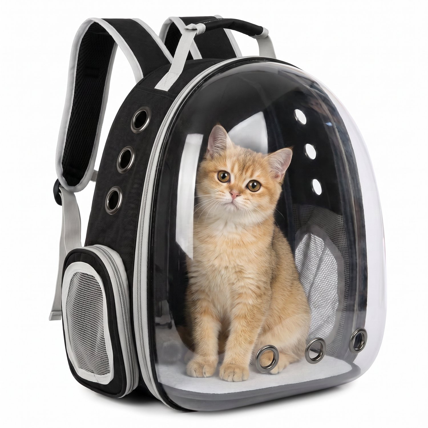 Katten Rugzak - met transparante voorkant - kattentas - dieren tas - 42 x 31 x 28 cm - tot 10 kg - 9 ventilatieopeningen - zijdeur van gaas - dubbele toegang - Oxfordstof- handig - zwart