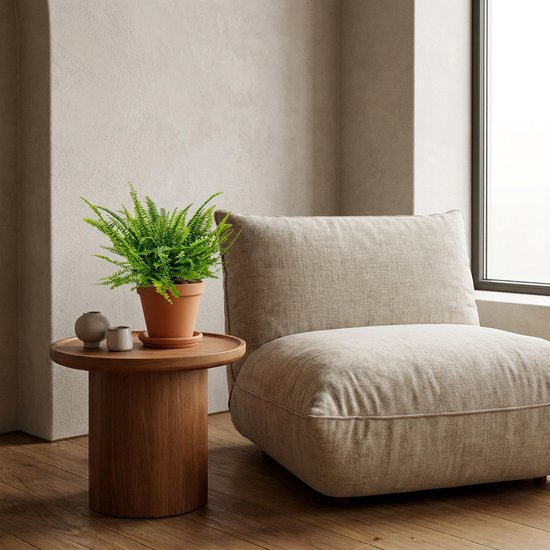 Varen in terracotta pot op een houten tafel naast een moderne, lage beige fauteuil.