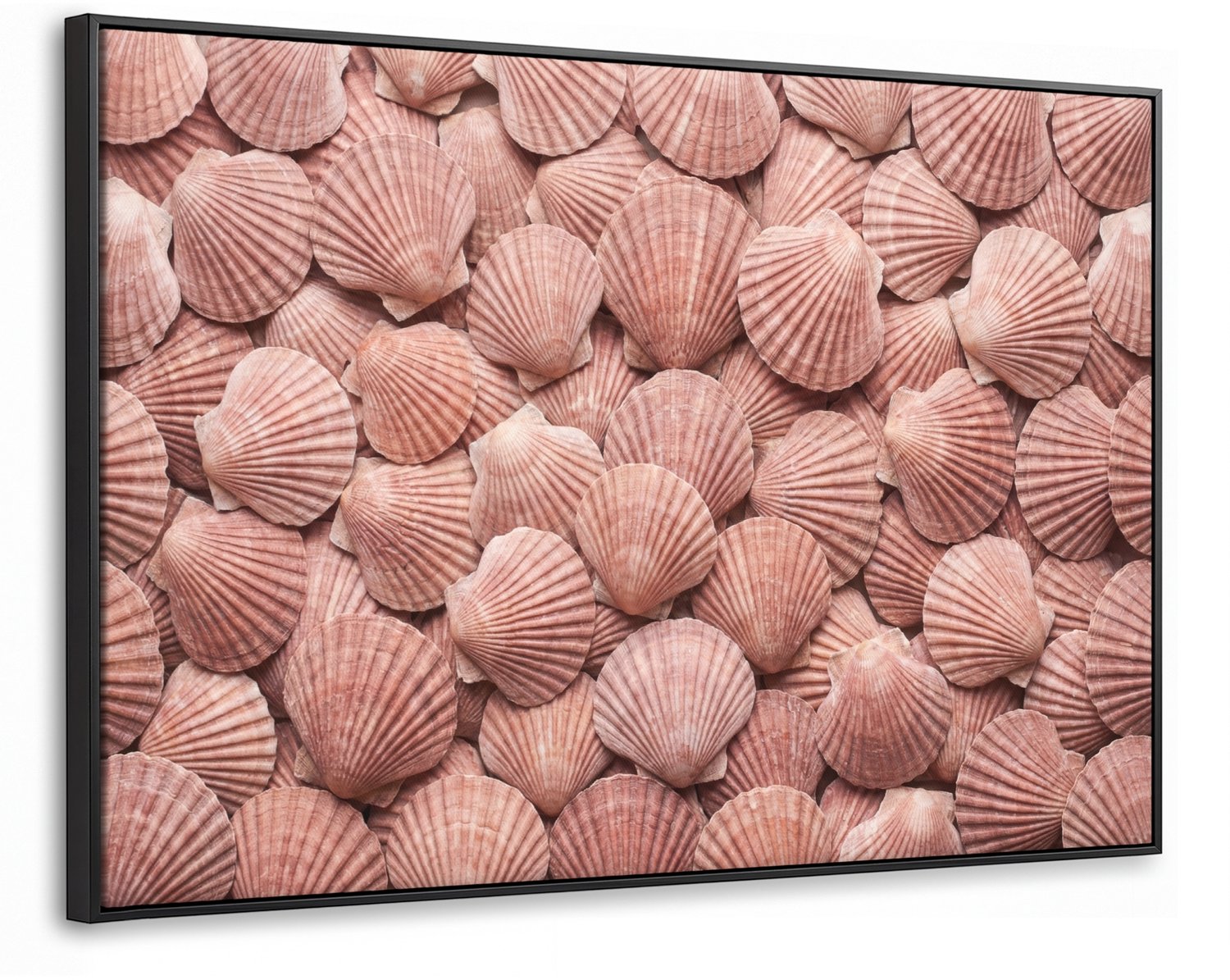 Canvas Schilderij met Baklijst 90x60cm - Schelpen - Patroon - Roze - Muurdecoratie woonkamer - Slaapkamer decoratie - Kamer accessoires - Schilderijen op canvas met lijst