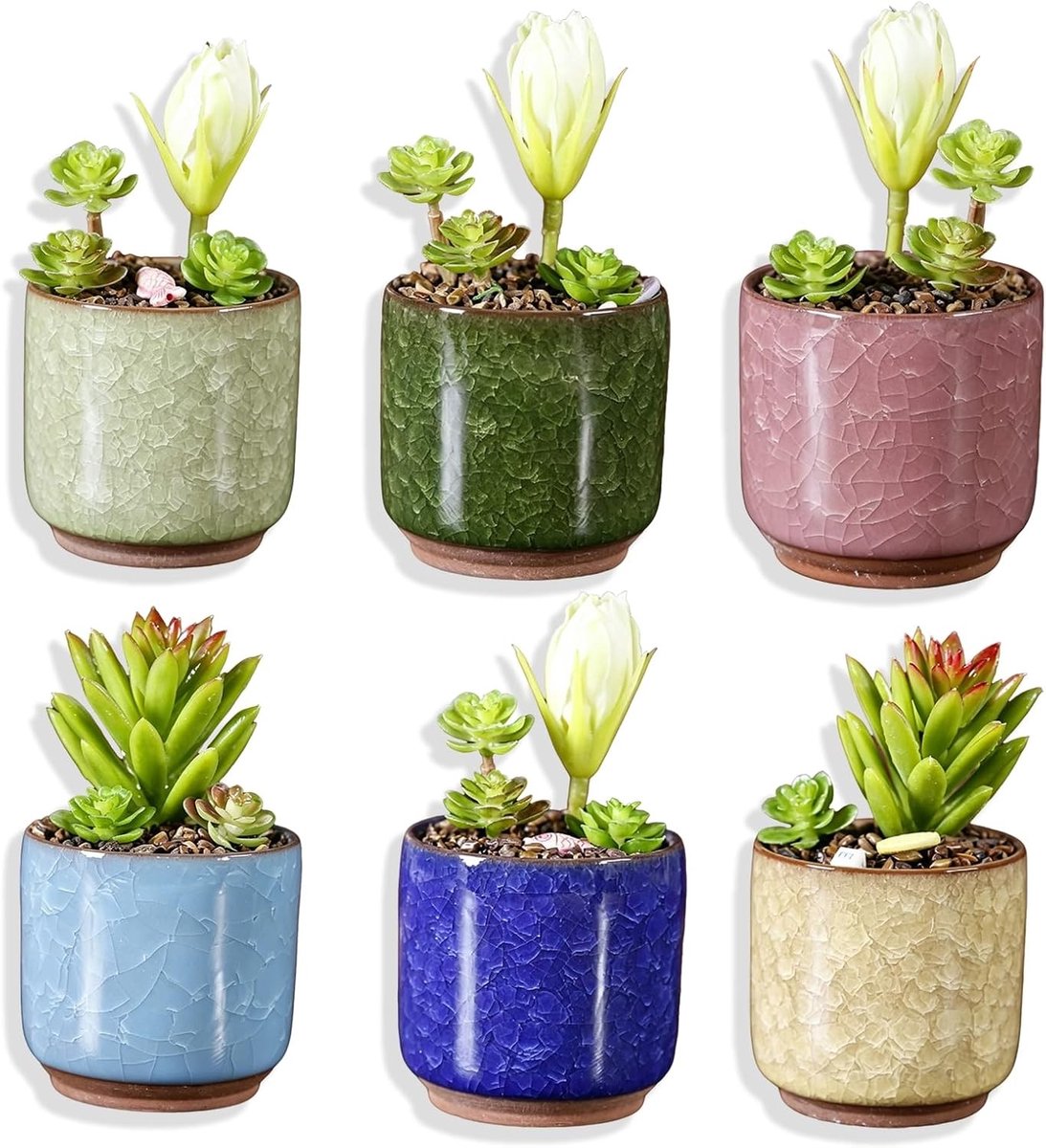 Set van 6 Gekleurde Keramische Potten voor Vetplanten, Aloe Vera en Kruidachtige Huisplanten - Decoratieve Tuinaccessoires en Cadeau Ideeën