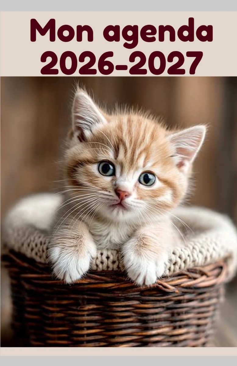 Mon agenda scolaire 2026-2027: Fille chat – Collège et primaire – Une page par jour avec devoirs, emploi du temps - ShopVlot