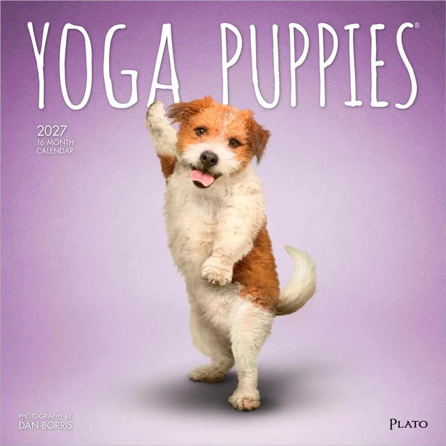 Yoga Puppies Kalender 2027