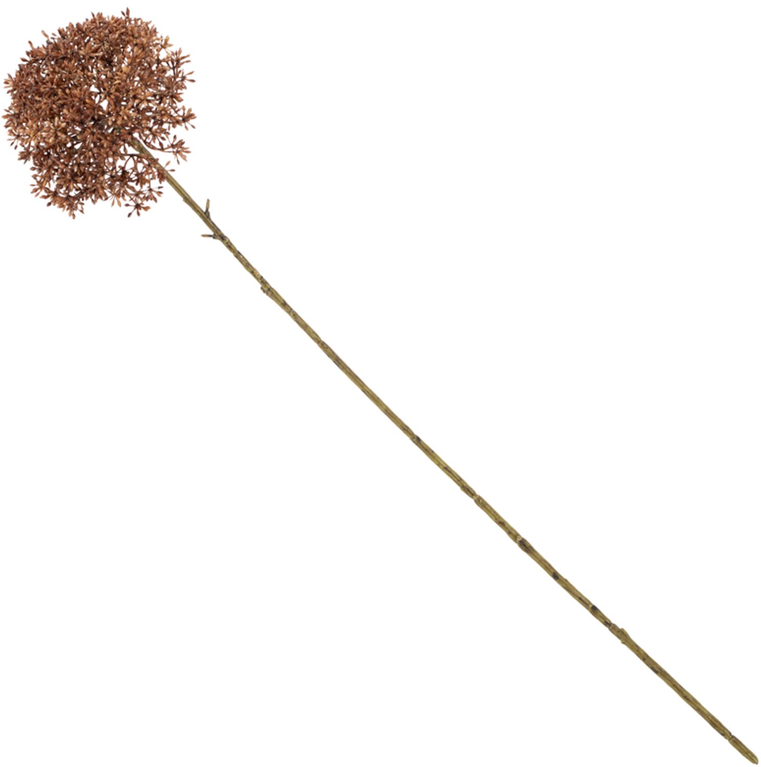 Kunstbol Trachelium 65cm burgundy