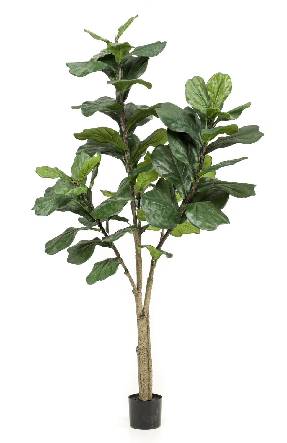 Emerald Kunstboom Ficus Lyrata 180cm - Kunstplant voor binnen - Ficus kunstplant Groen