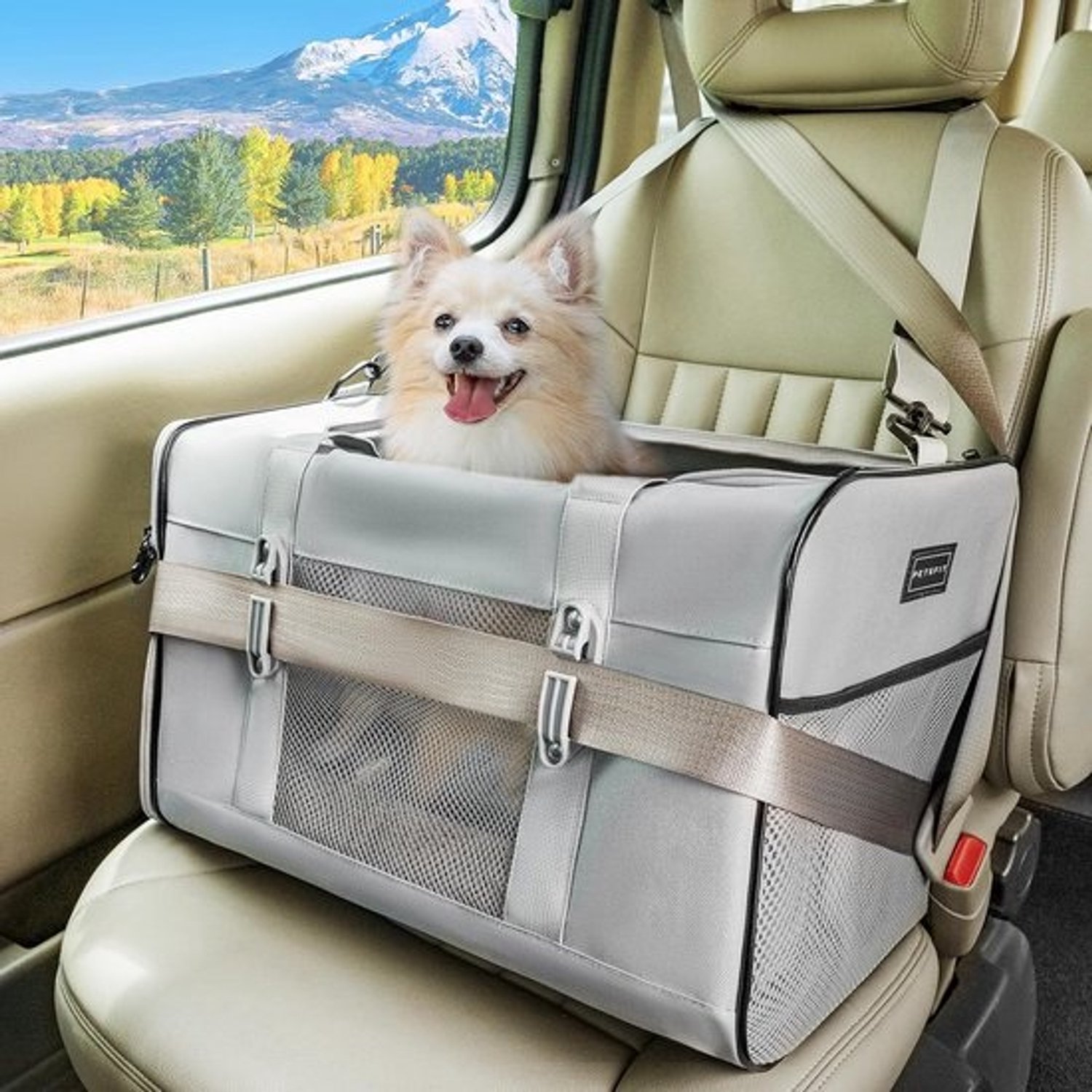 Prettige reistas voor een hond of grote kat tot 9 kg - Zachte transportbench voor in de auto en onderweg
