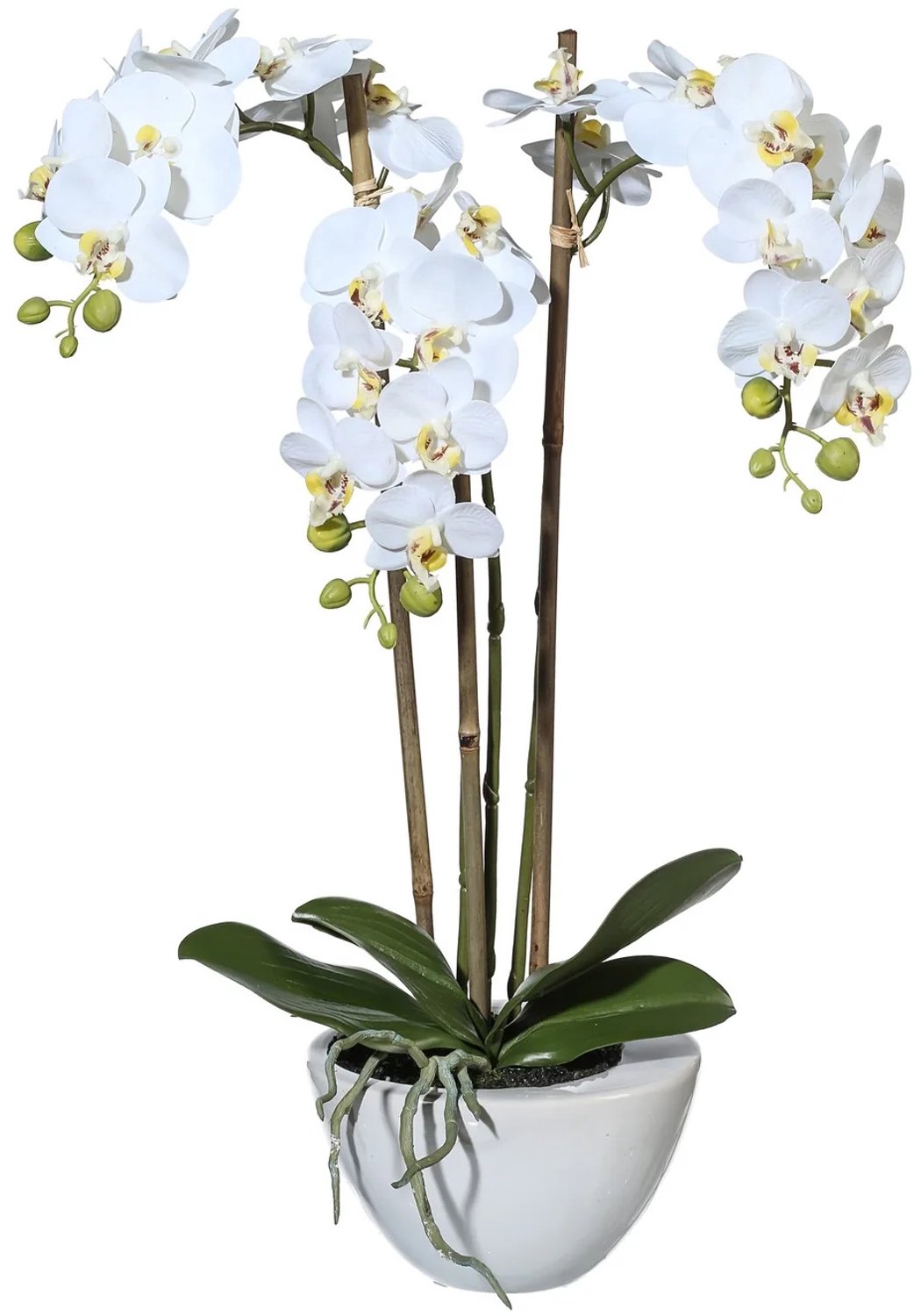 KOPU® Kunstorchidee 51 cm - Wit - Witte schaal - Phalaenopsis