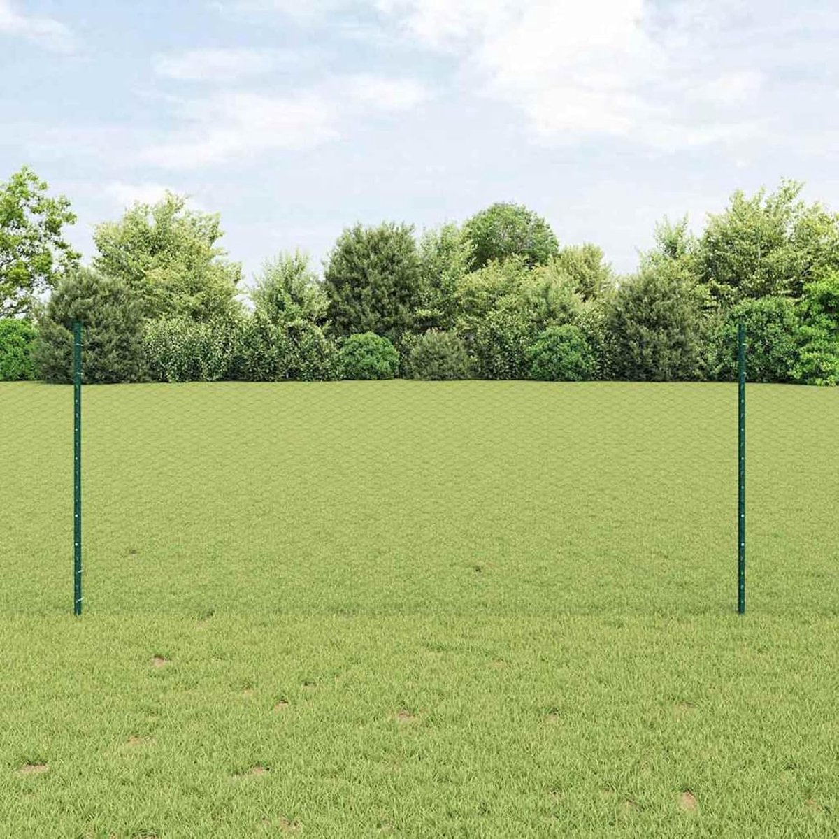 Tuinhekset, set van 2 groene stalen standaard, duurzaam, metalen palen voor draadhekken, tuinhek, kippenhok, wilgenhek buiten, 3336717
