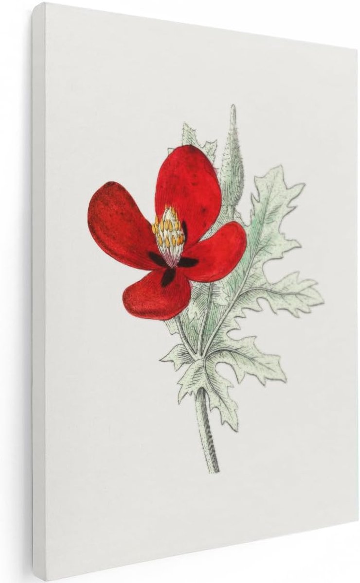 Canvas Schilderij Klaproos - 60x80 cm - Wanddecoratie Bloemen - Muurdecoratie Vintage - Decoratie Botanisch Woonkamer - Rood