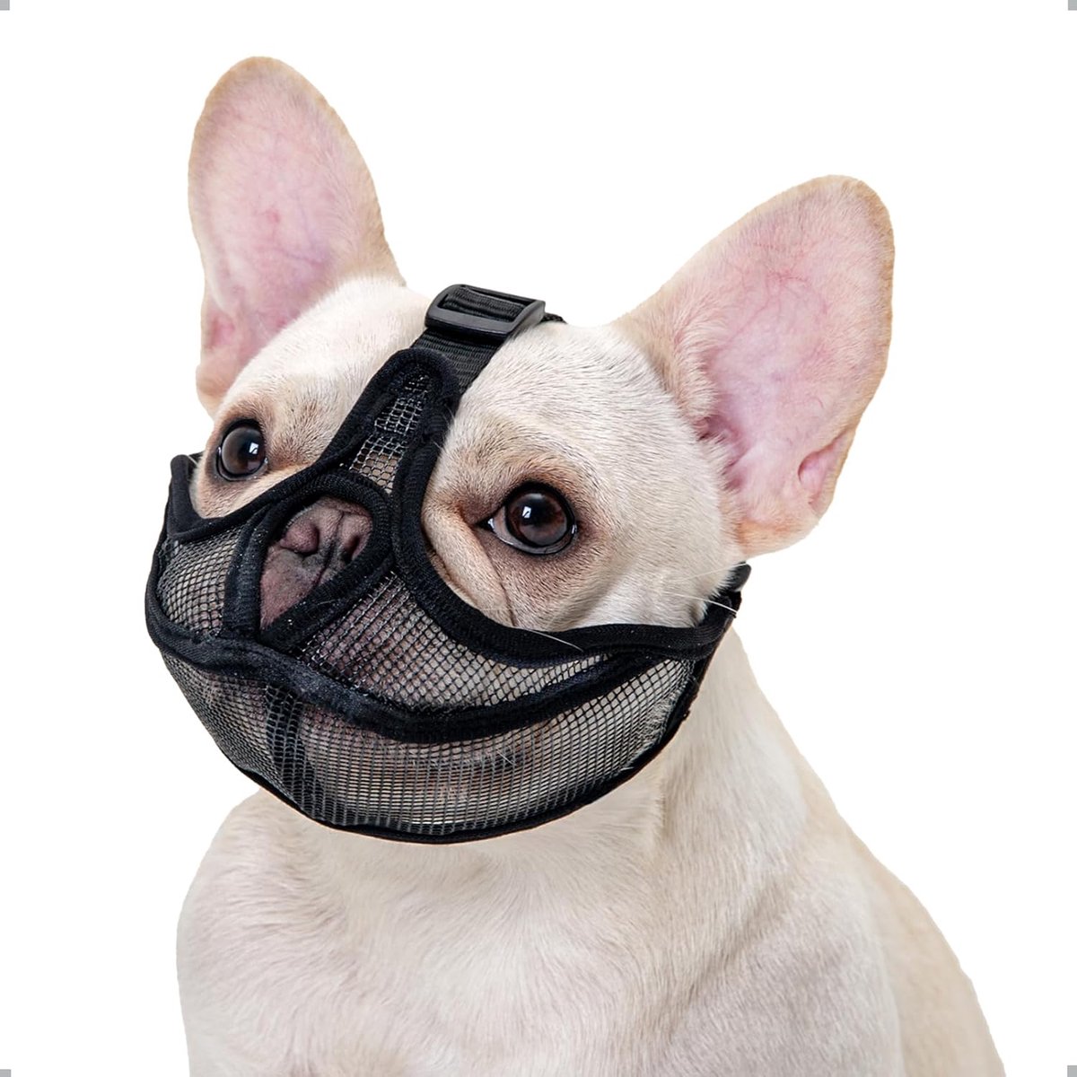 Bulldog Muilkorf, Bedekt Voorhoofd Niet HondenMuilkorf voor Korte Snuit Hond, Anti-Bijten Kauwen Blaffen, Verstelbaar Ademhalingsgaas (XL,Zwart)