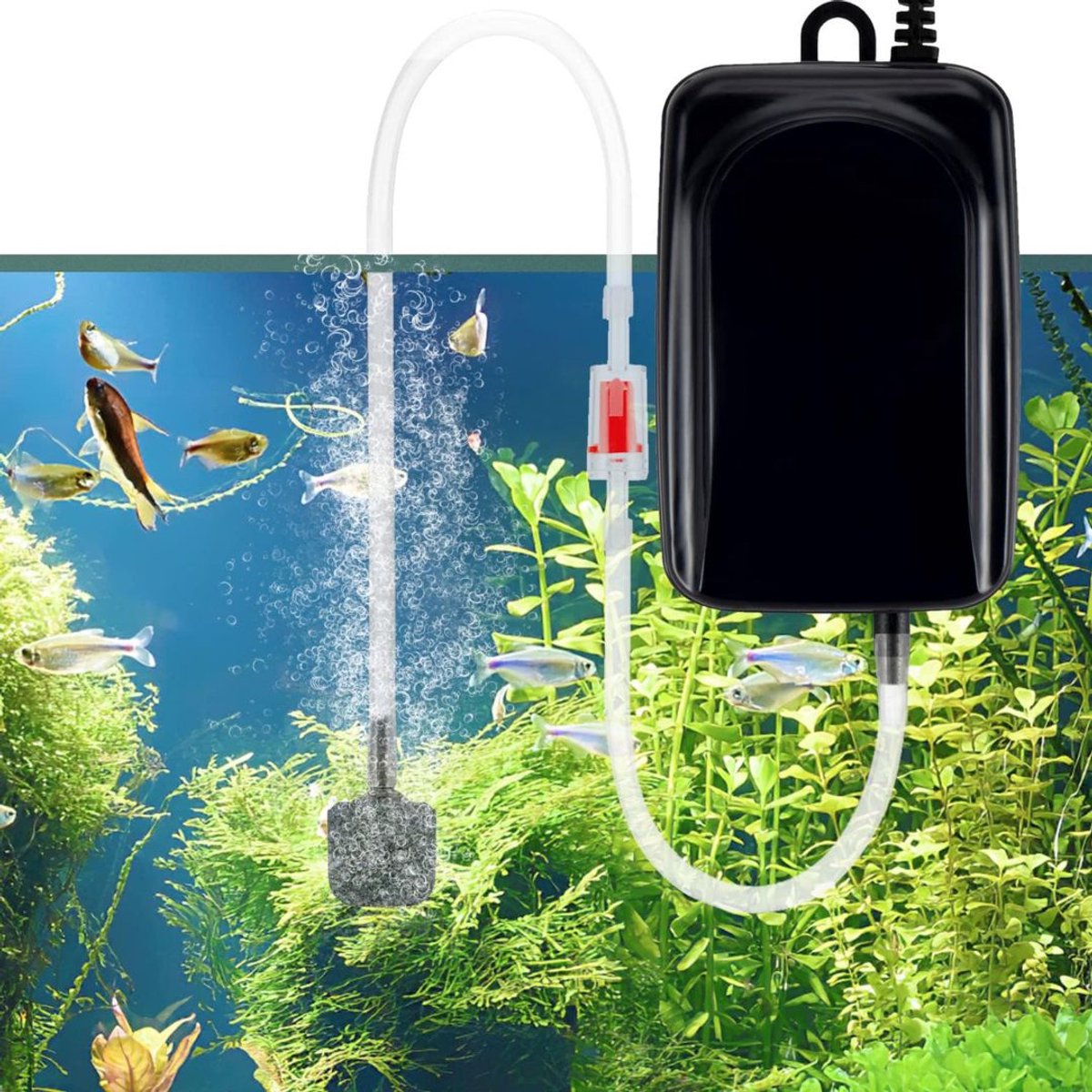 DailySupplies® Luchtpomp Aquarium - Zuurstofpomp - Luchtsteen - Zwart