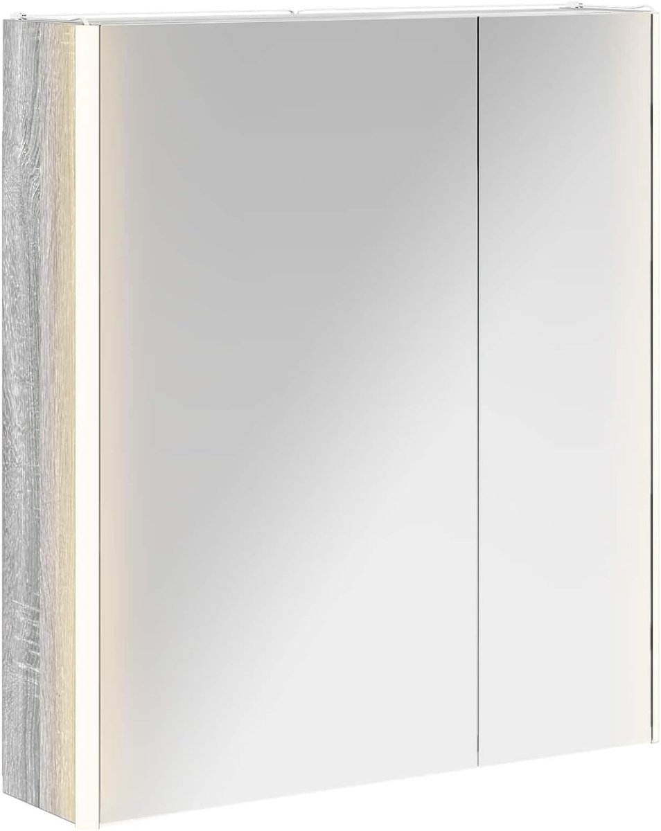 Badkamer spiegelkast grijs sonoma 63,5 x 15,5 x 70 cm, spiegelkast badkamer wandspiegelkast voor familiebadkamer kleedkamer 889244