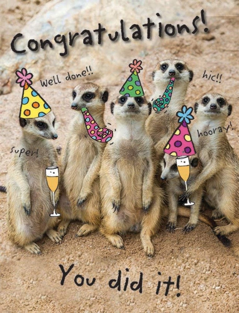 Greetings Humor Occasion Card Gefeliciteerd - 8 x 6 inch, beige|bruin|geel|zwart