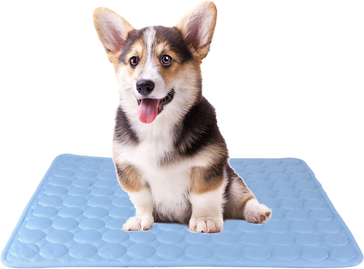 koelkussen voor katten en honden, CoolCore, niet giftig, blauw (S)