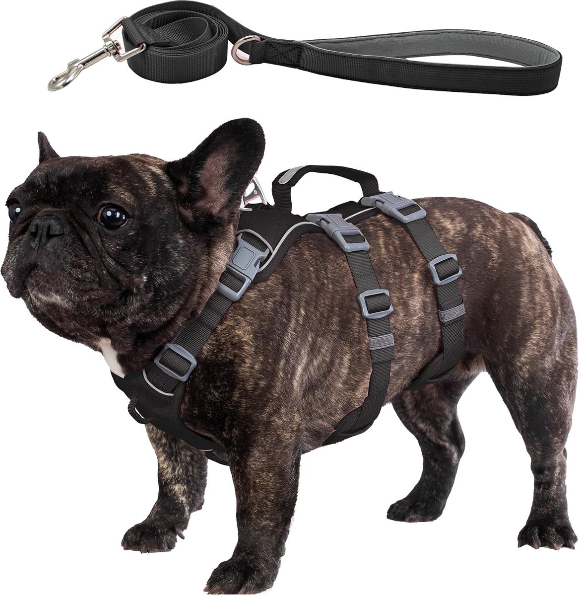 Proof Honden Harnas en Lijn Set, Lichtgewicht Honden Harnas met Til- en Hulphandvat, Geen Trek Reflecterend Huisdier Vest voor Kleine en Middelgrote Honden （Zwart，M)