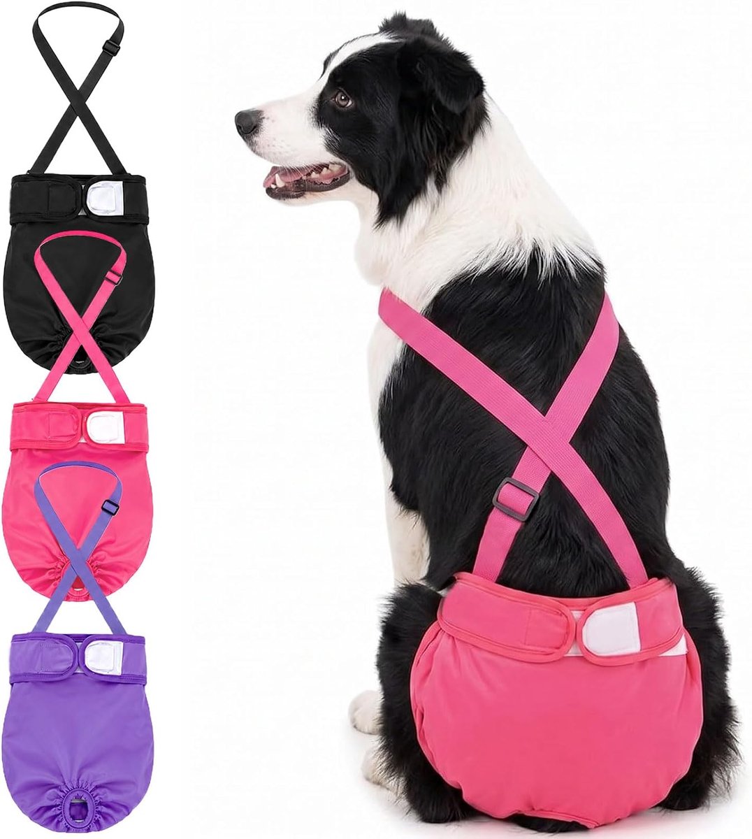 Luiers voor teefjes, verstelbaar met riem (M (33-48 cm)