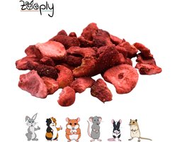 Zooply Aardbei - Kruiden & Snacks - 100% natuurlijk - Voor konijnen & cavia's - 45 gram