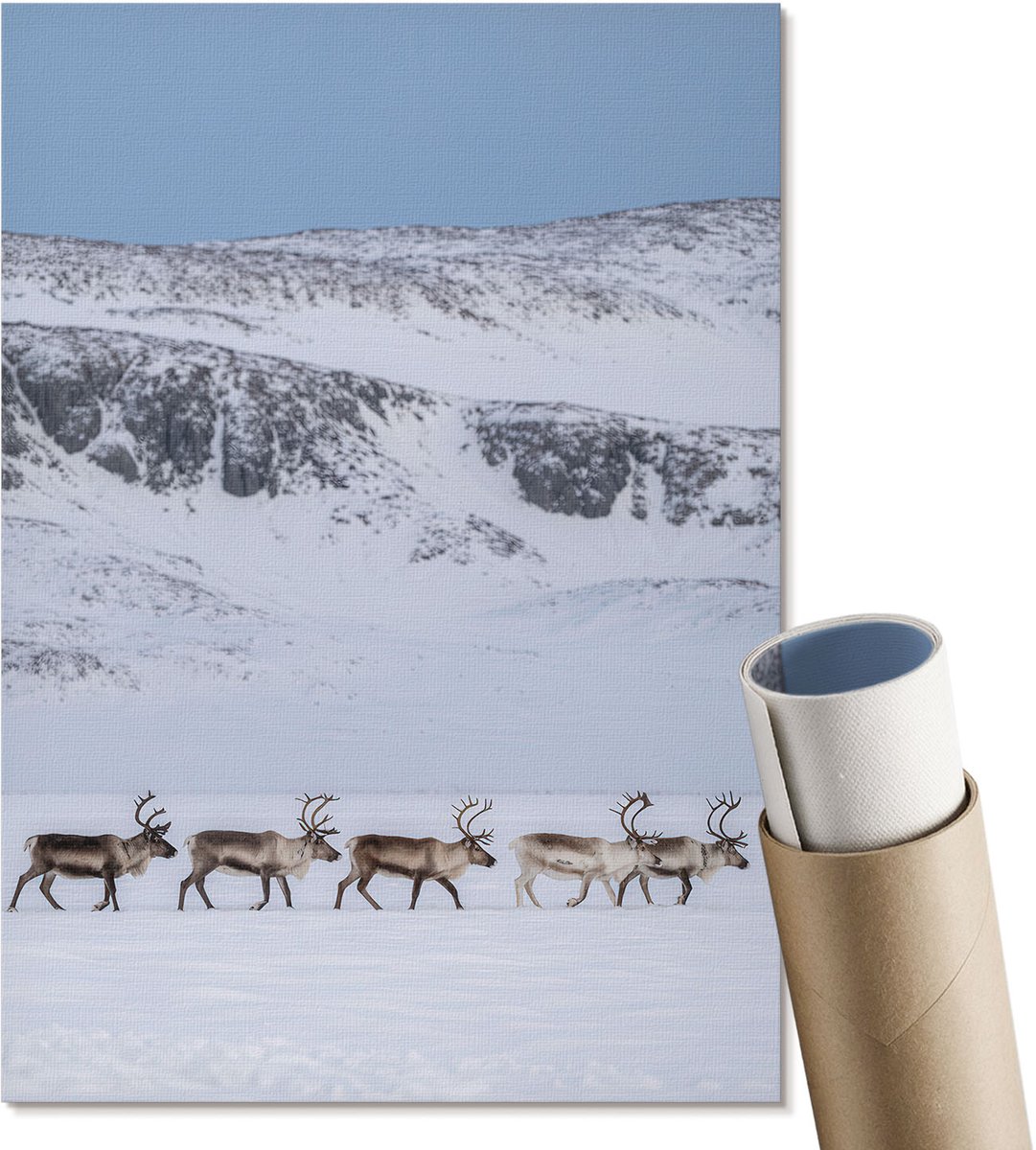 Coloray Polycanvas Wandposter - Rendieren In De Bergen, Fotografie - A4 - Wit Motief - Rechthoek - Canvasposter - Woonkamer, Slaapkamer, Kantoor - Klassiek
