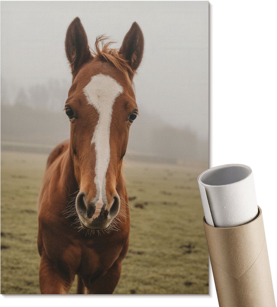 Coloray Polycanvas Wandposter - Paardenportret, Fotografie - A4 - Bruin Kunst - Rechthoek - Canvasposter - Woonkamer, Slaapkamer, Kantoor - Klassiek