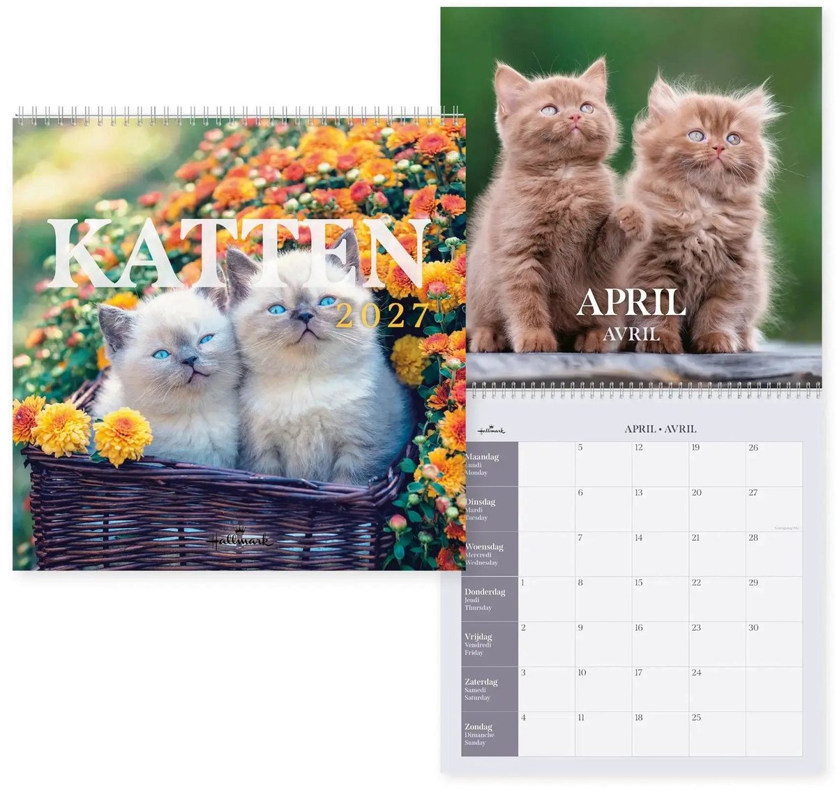 Cats Kalender 2027