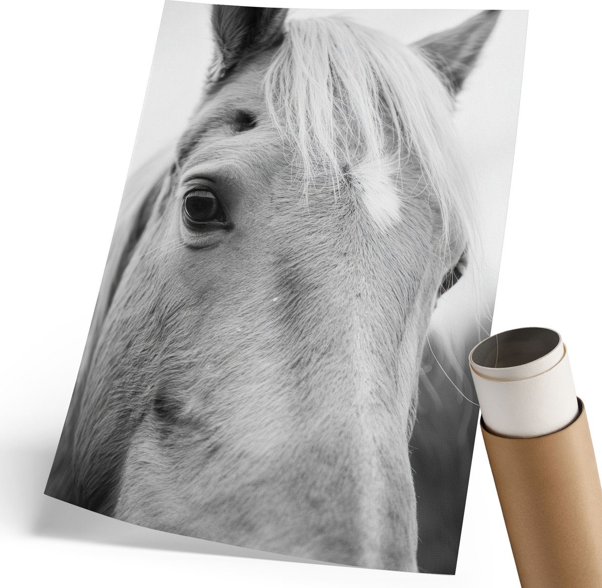 Coloray Polycanvas Wandposter - Paardenportret, Fotografie - 210 x 297 mm - Zwart-wit Kunst - Rechthoek - Interieurdecoratie - Woonkamer, Slaapkamer, Kantoor - Klassiek