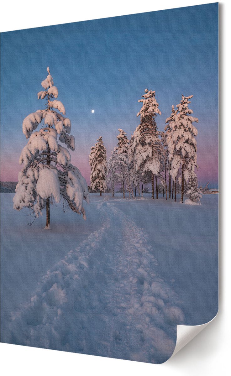 Coloray Polycanvas Wandposter - Winterlandschap, Fotografie - 594 x 840 - Wit Wanddecoratie - Rechthoek - Wandkunstwerk - Slaapkamer - Klassiek