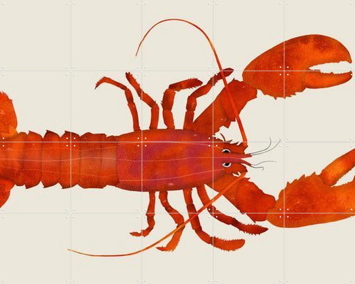 IXXI Lobster, Merel Corduwener - 100 x 80 cm - Gratis ophangtool - Grote wanddecoratie en posters - Grafisch Ontwerp, Illustraties, Speels, Digitale
