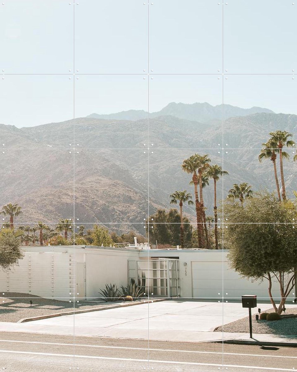 IXXI Palm Springs, Chris Abatzis - 80 x 100 cm - Gratis ophangtool - Grote wanddecoratie en posters - Fotografie, Woonkamer, Landschappen