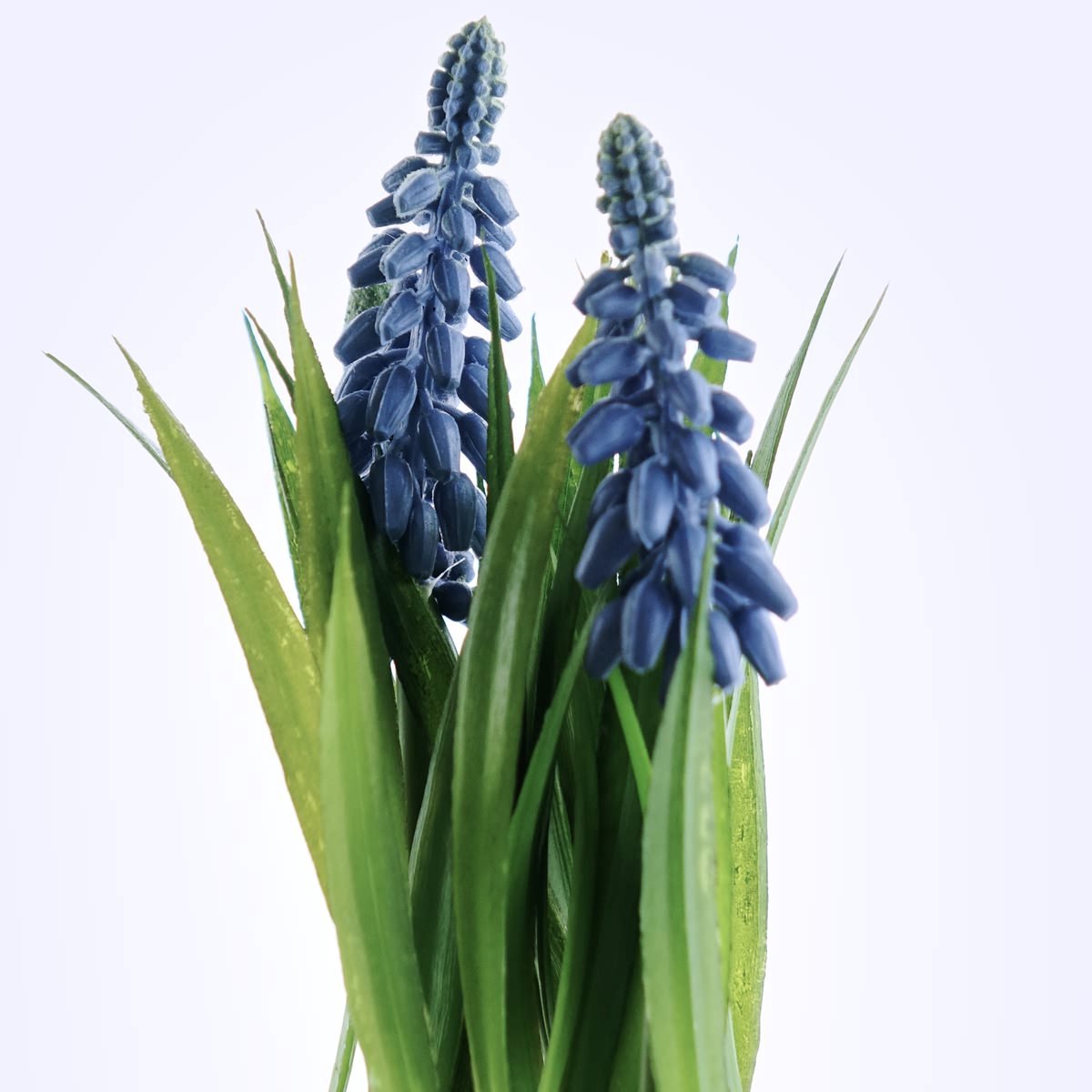 Deko Florale Sperling Deko Florale Druifhyacint Zwarte Pot Kunstbloem