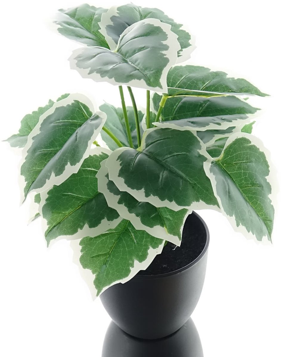 DPI klimop Gloire de Marengo kunstplant 32 cm