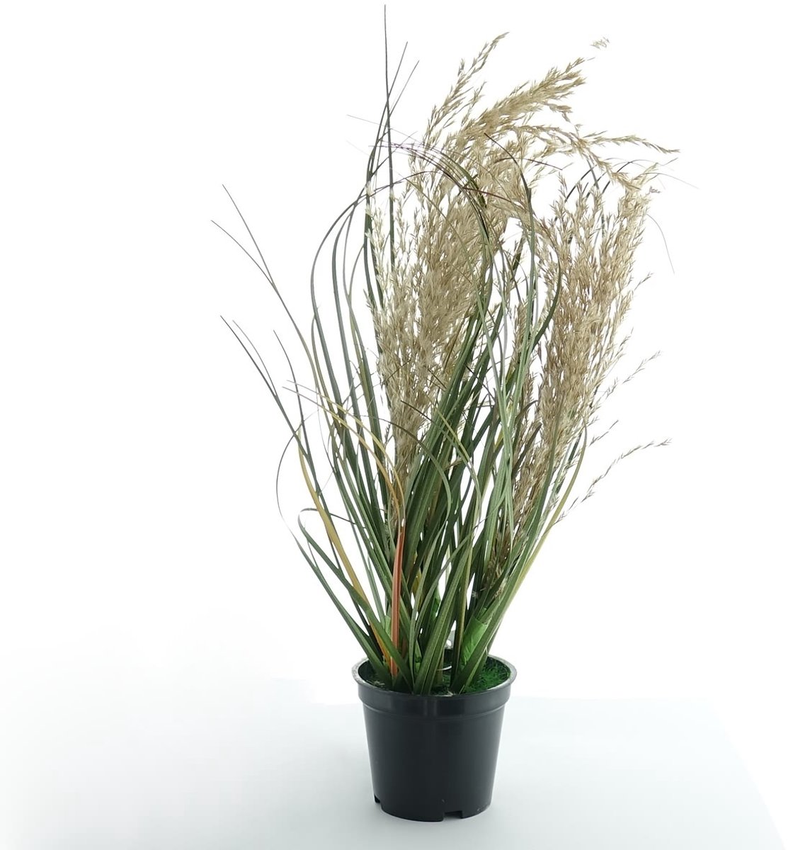 Kaemingk Amerikaans pampasgras zwarte pot 30 cm - kunstplant