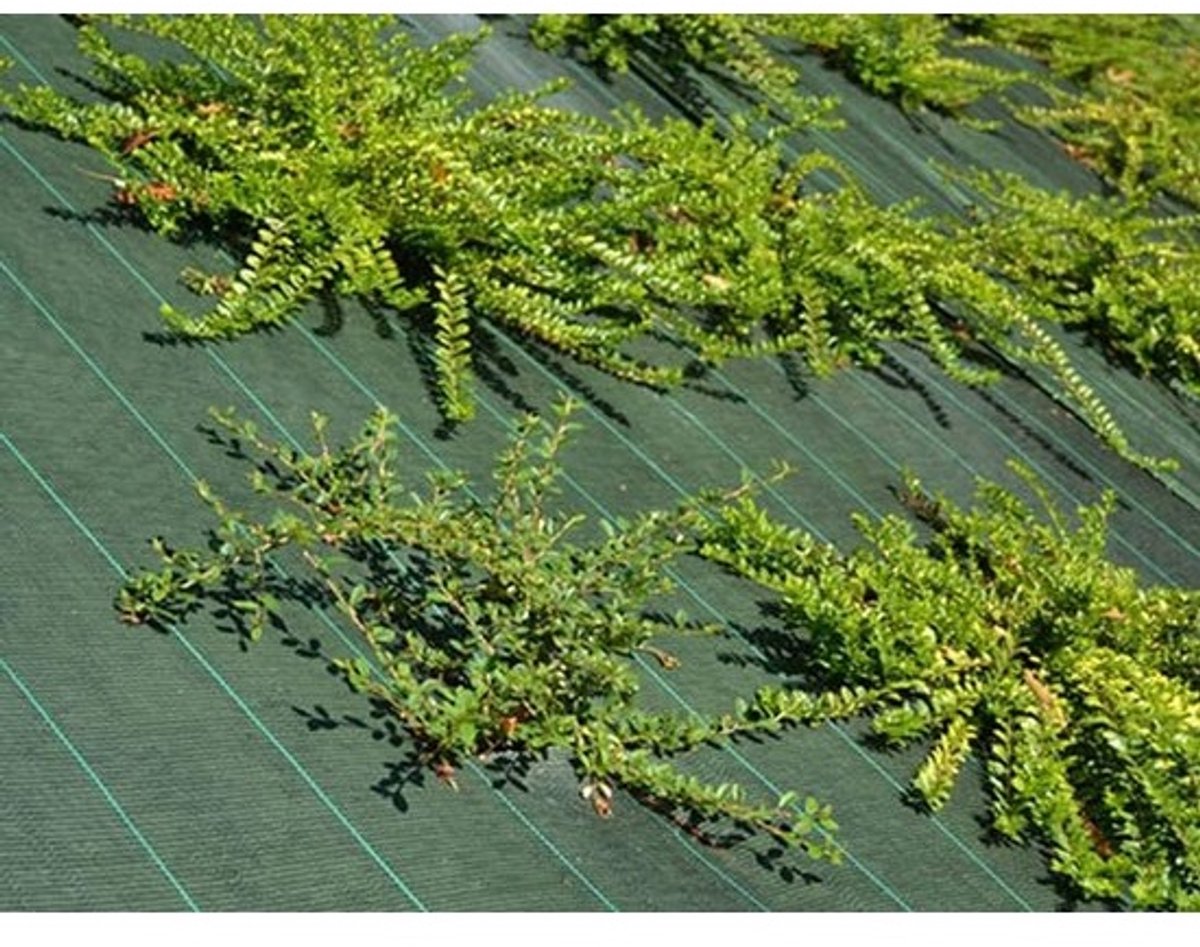 Gronddoek - Weringdoek Bodembedekker - Onkruid Voorkomen - Stimuleert Plantengroei - 1.25 x 10 m - Groen