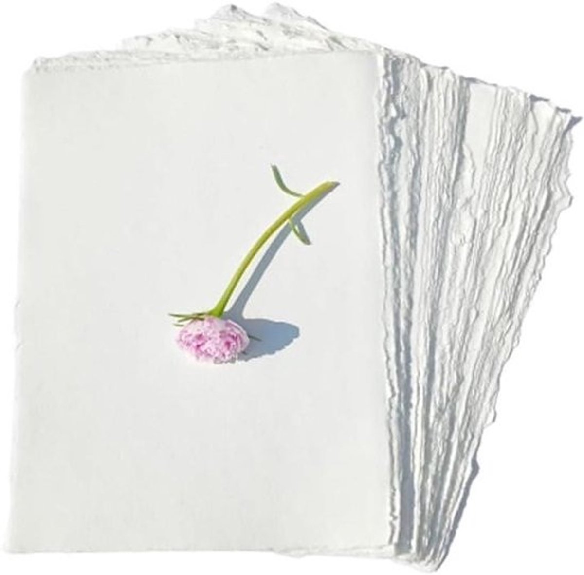Deckle Edge Papier - Losse Blad Vellen - Schrijven Kalligrafie - Hoge Kwaliteit Antiek - 16x8 Inch - Ivoor Wit