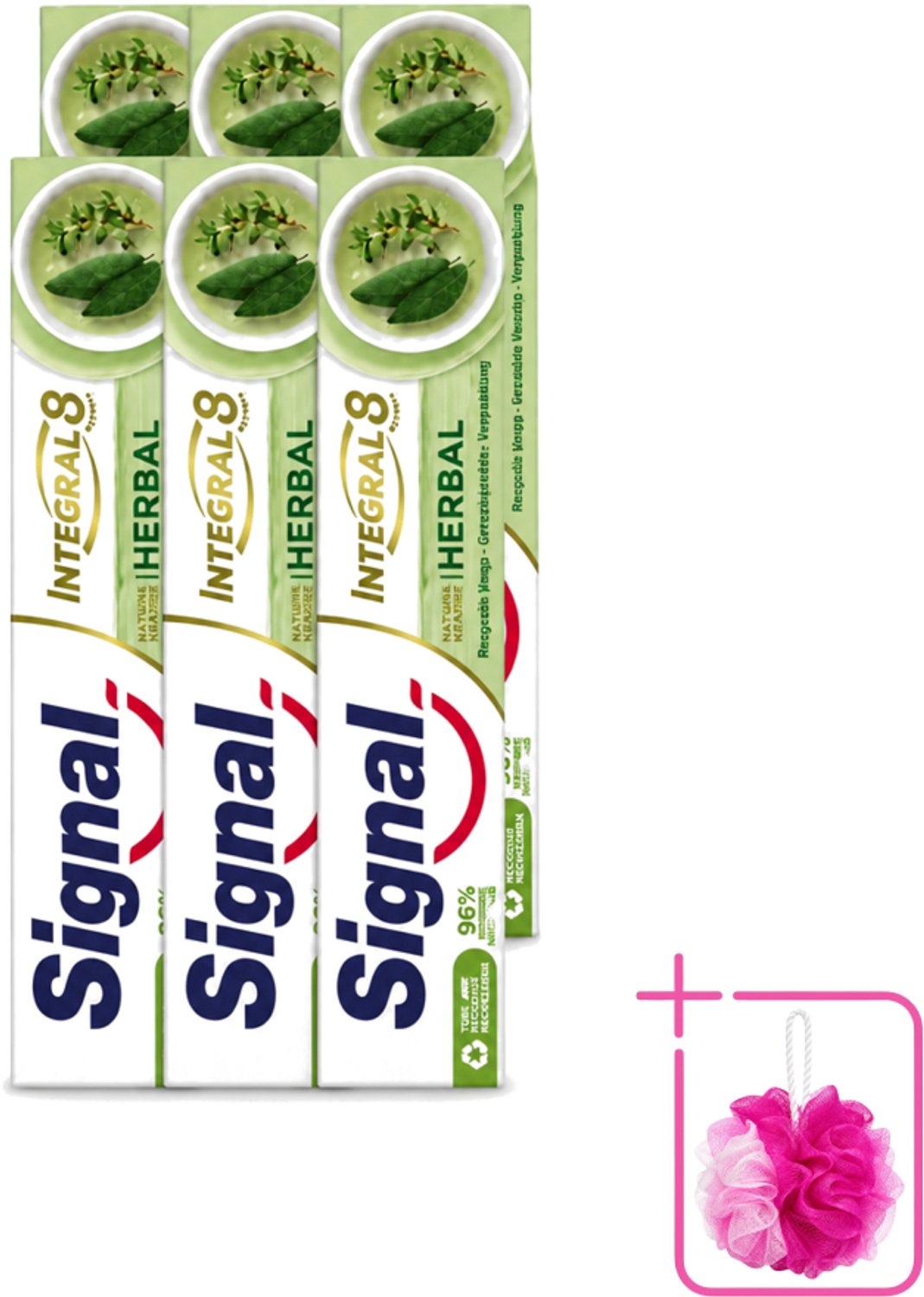 6 x Signal - Integral & Actions - Tandpasta - Natuurlijke Kruiden - Gerecyclede Verpakking - 75 ml - Bulkverpakking - Tandpasta - Douchemop - Natuurlijke kruiden