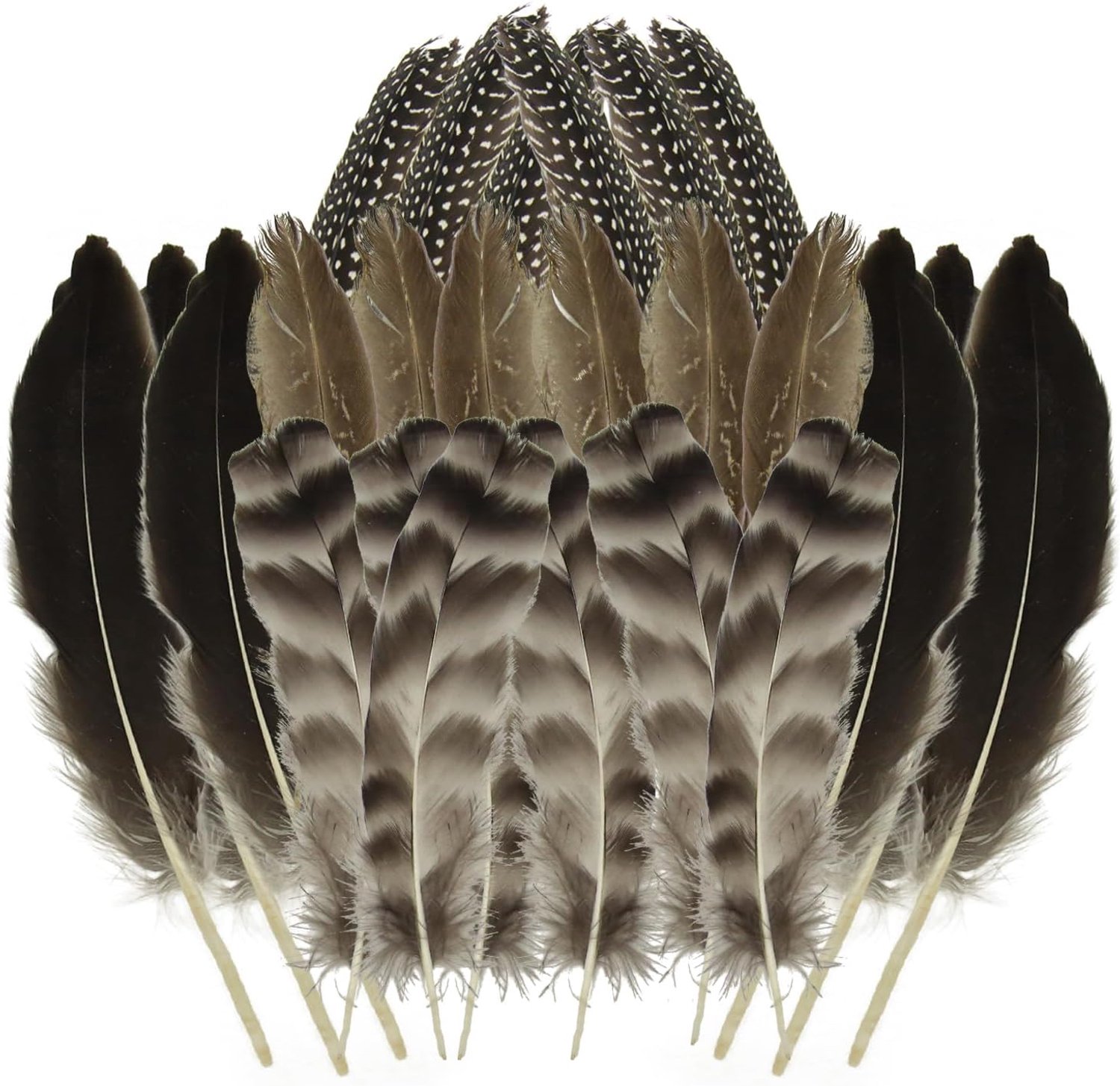 Knutselveren 24 stuks - Natuurlijke gevlekte veren - Lang en kleurrijk - Perfect voor hoeddecoratie - ShopVlot