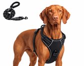 Bruine vizsla draagt een zwart Qutako hondentuig. Zwarte riem met reflecterende stiksels zichtbaar.