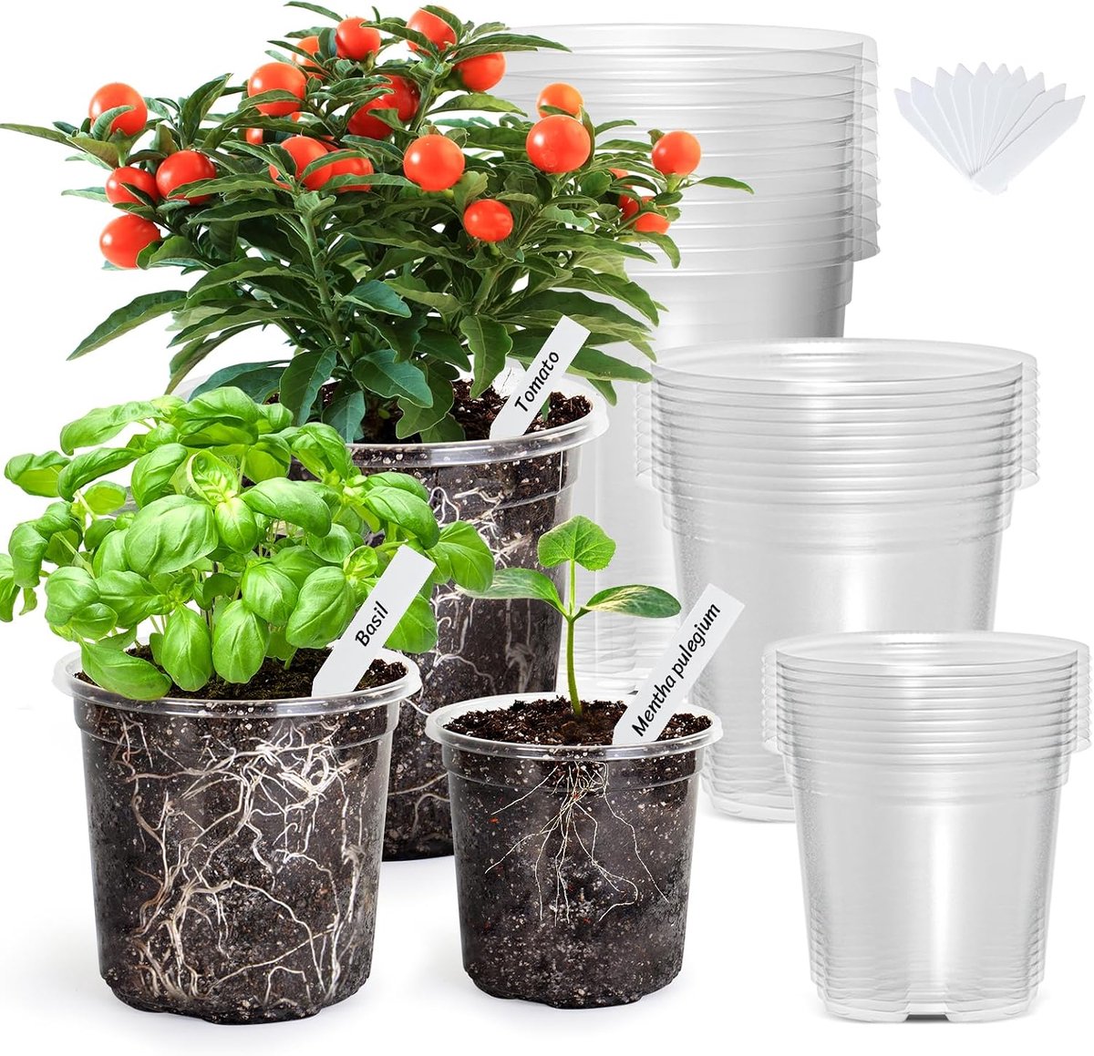 30 stuks 16,7 cm heldere kwekerijpotten voor planten, plastic zaailingpotten met drainagegaten, plantenbakken voor kamerplanten en transparante zaadstartpotten met 10 plantenlabels