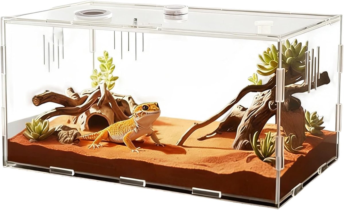 Terrarium Met Een Helder 360-Graden Uitzicht Vanaf Alle Kanten