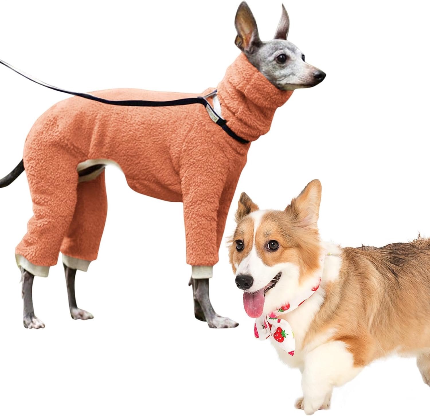 Coltrui Onesie Elastische Verdikking 4 Benen Volledig Bedekt Rekbaar
