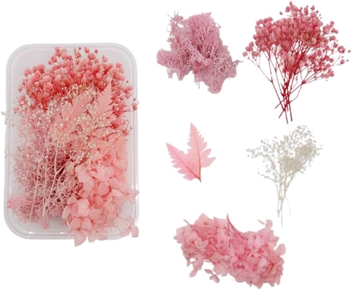 Gedroogde bloemen voor ambachten, kunst en decoratie - Kleine gedroogde bloemen voor resin, scrapbooking en kaartmaken