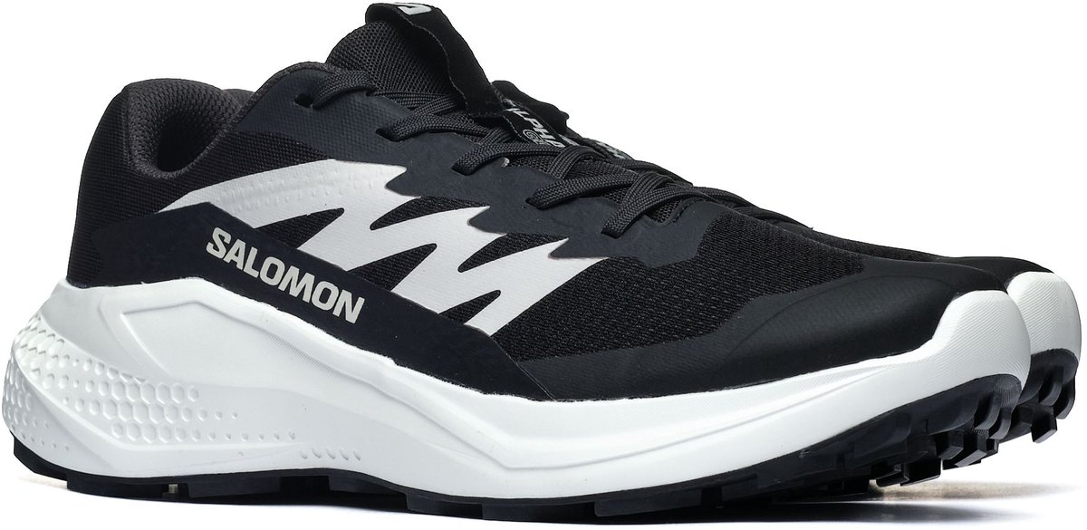 Trekking Salomon ALPHAGLIDE Heren Zwart